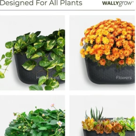 4 x WALLYgrow Eco planter yellow set - Picture 1 of 7